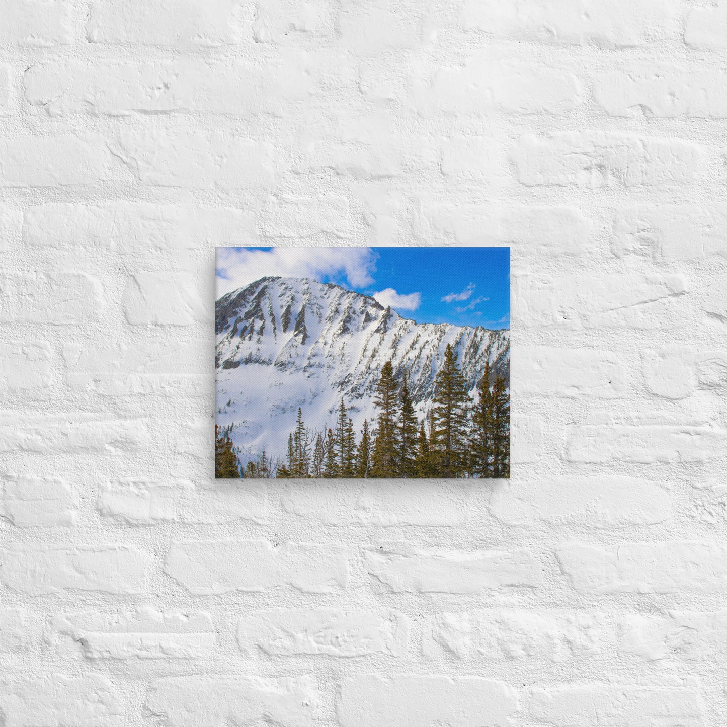Snow Capped