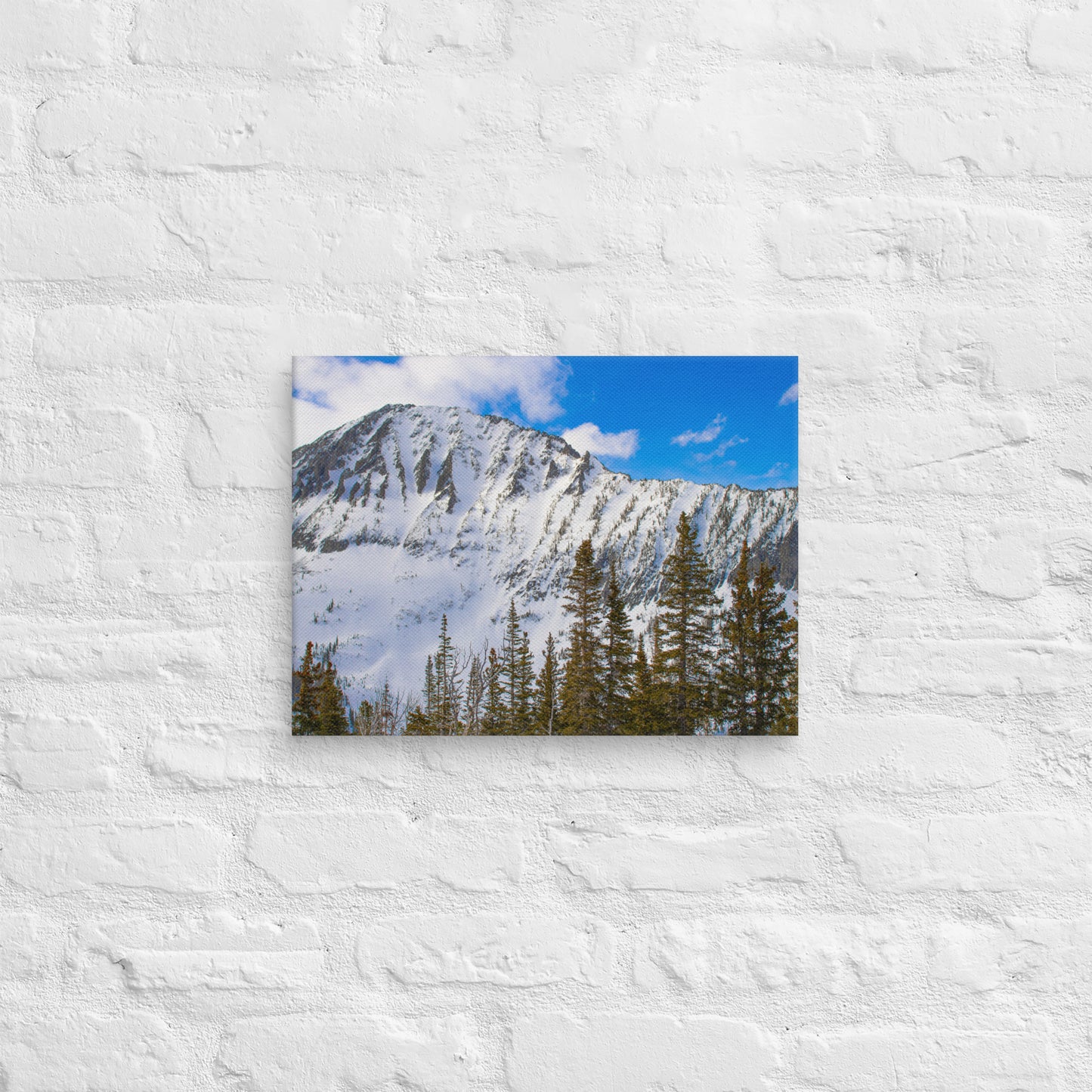 Snow Capped