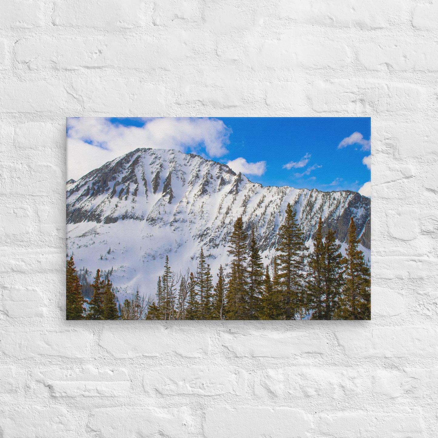 Snow Capped