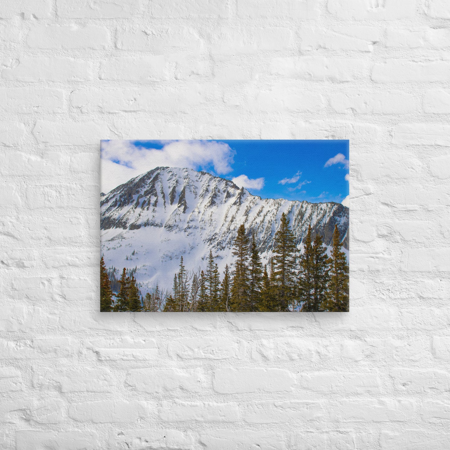 Snow Capped