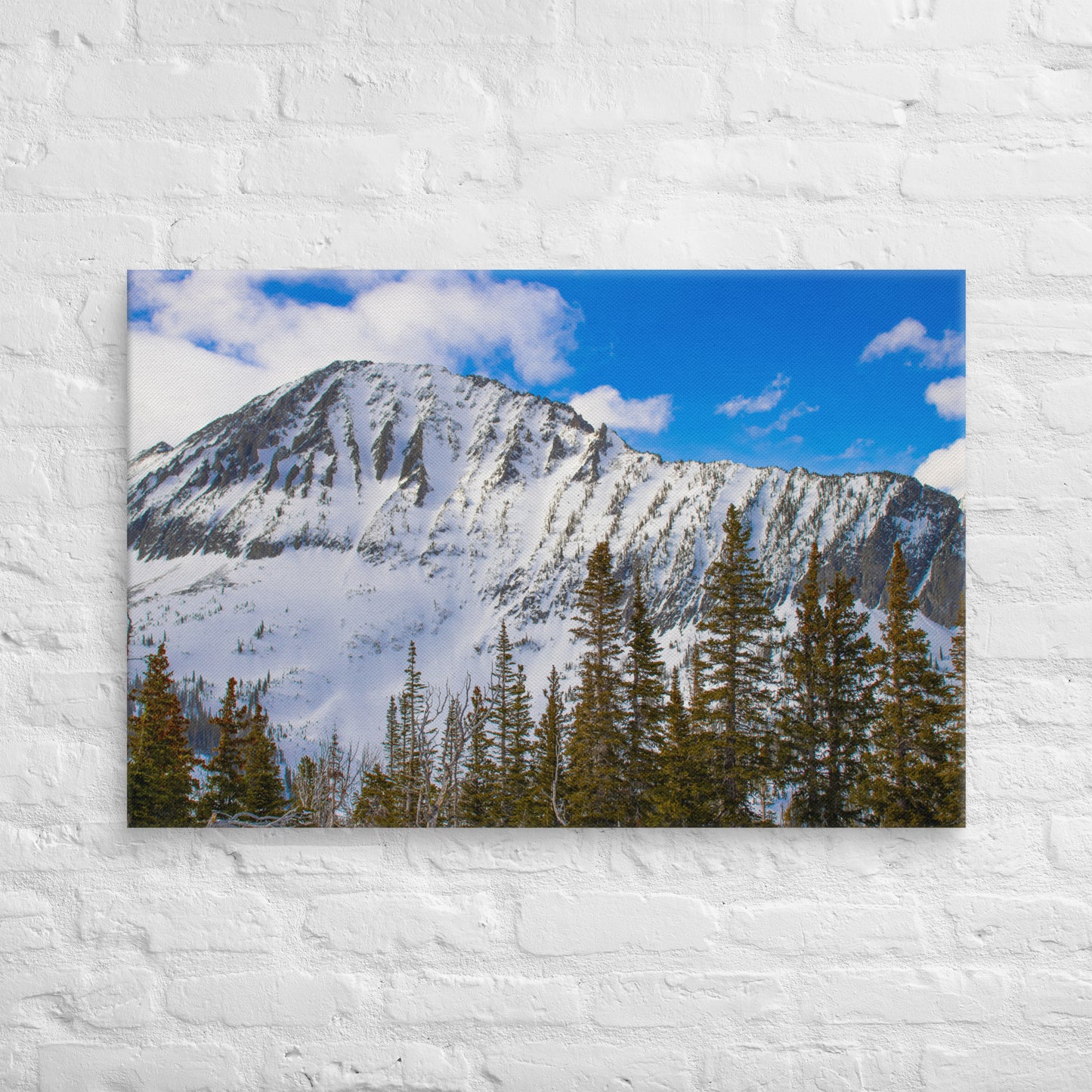 Snow Capped