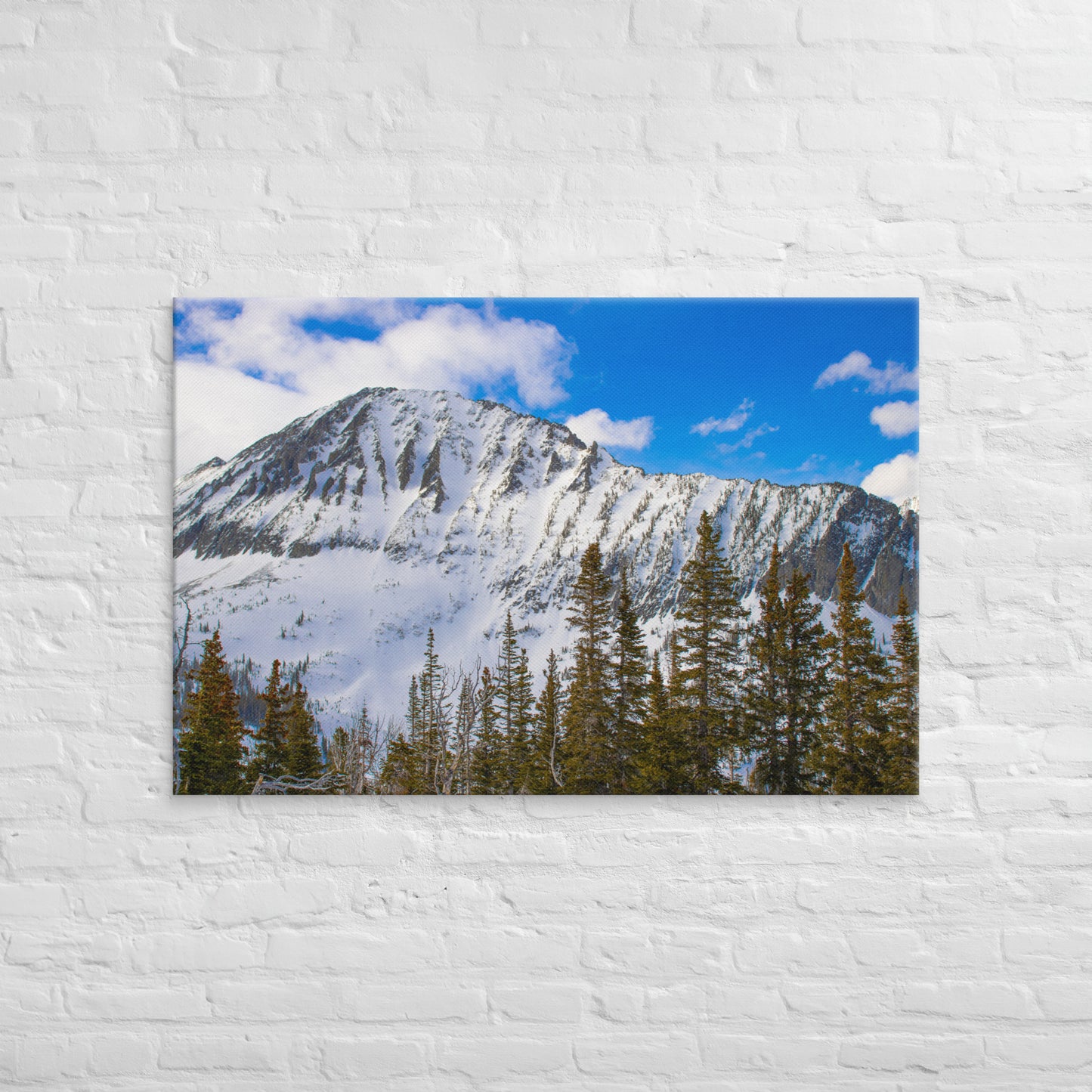 Snow Capped