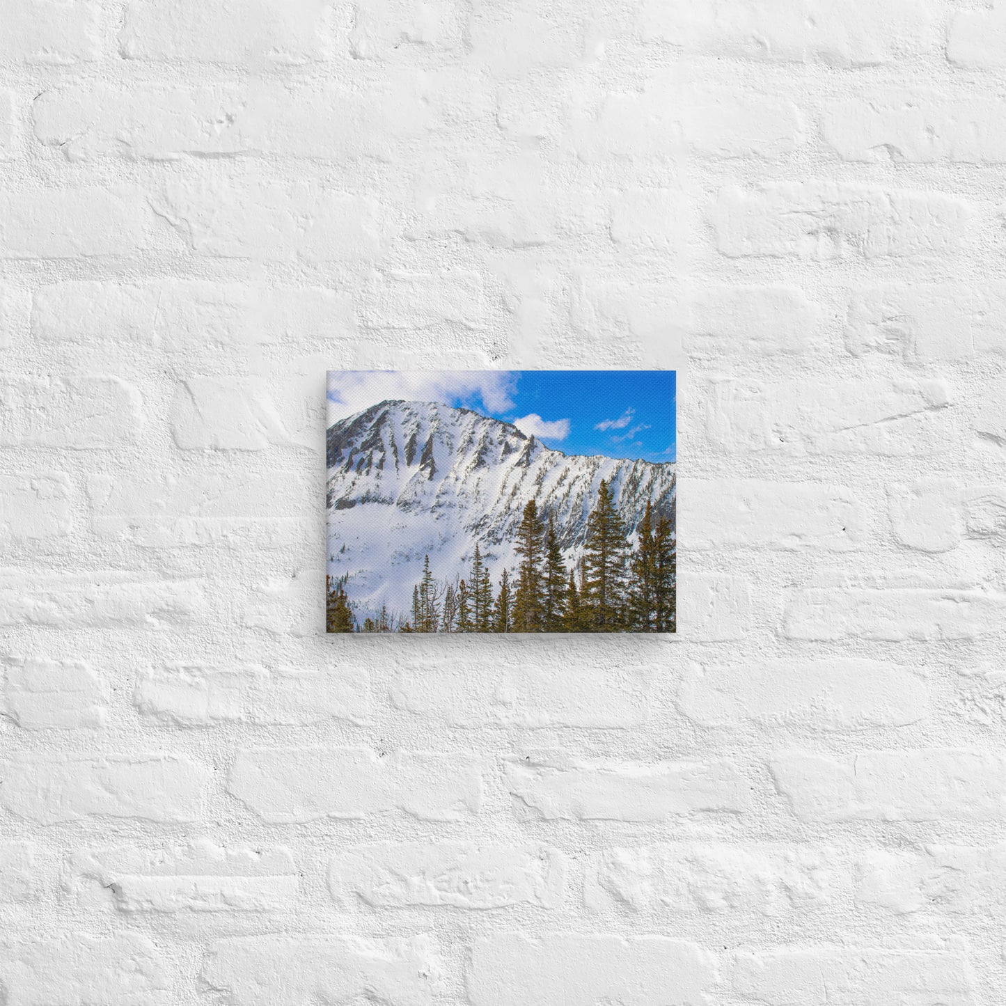 Snow Capped